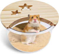 kathson Hamster Sand Bath Box Transparent Acrylic Small Animals - Circle