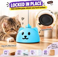 Interactive Cat Toys for Indoor Cats - Blue - image 4