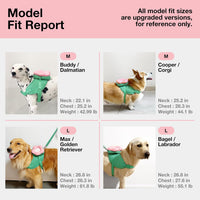 VETRESKA Flora Dog Harness, Leash and Collar Set - M - image 2