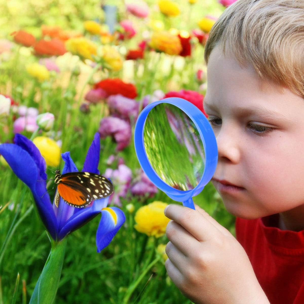 ESSENSON Outdoor Explorer Kit & Bug Catcher Kit – Fun for Kids & Family - image 4