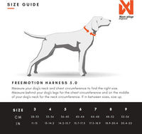 Non-stop Dogwear Freemotion 5.0 Dog Pulling Harness, Blue/Gray - 4 / Orange / Black - image 2