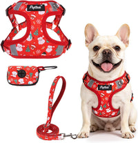 PUPTECK Dog Harness and Leash Set Small Sized - M (17-25lbs, Chest 17"-21") / #2 Red(Christmas Print)