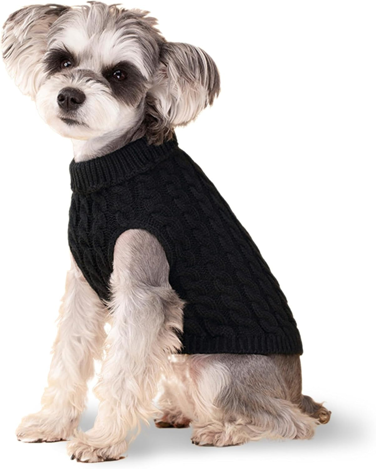 Black knit turtleneck pullover dog sweater in size M