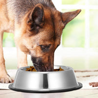 2 Pack Stainless Steel Dog Bowls with Rubber Bottom - 6 Cup / 48 oz - image 3