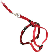 PetSafe Come With Me Kitty Harness and Bungee Cat Leash - Small (Pack of 1) / Red - image 3