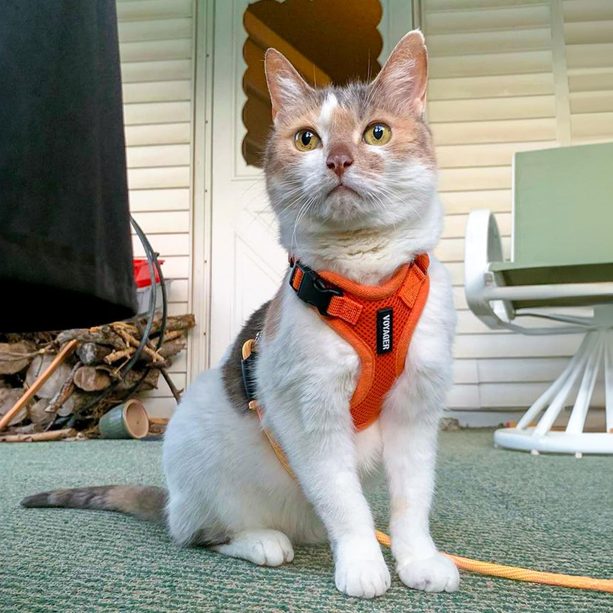 Voyager Escape-Proof Step-in Harness & Leash, Moss Green - Orange / S (Chest: 15 - 18") - image 3