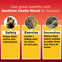 SunGrow Leopard Gecko Cholla Wood, Create Basking Spot - 6 Pack - image 3