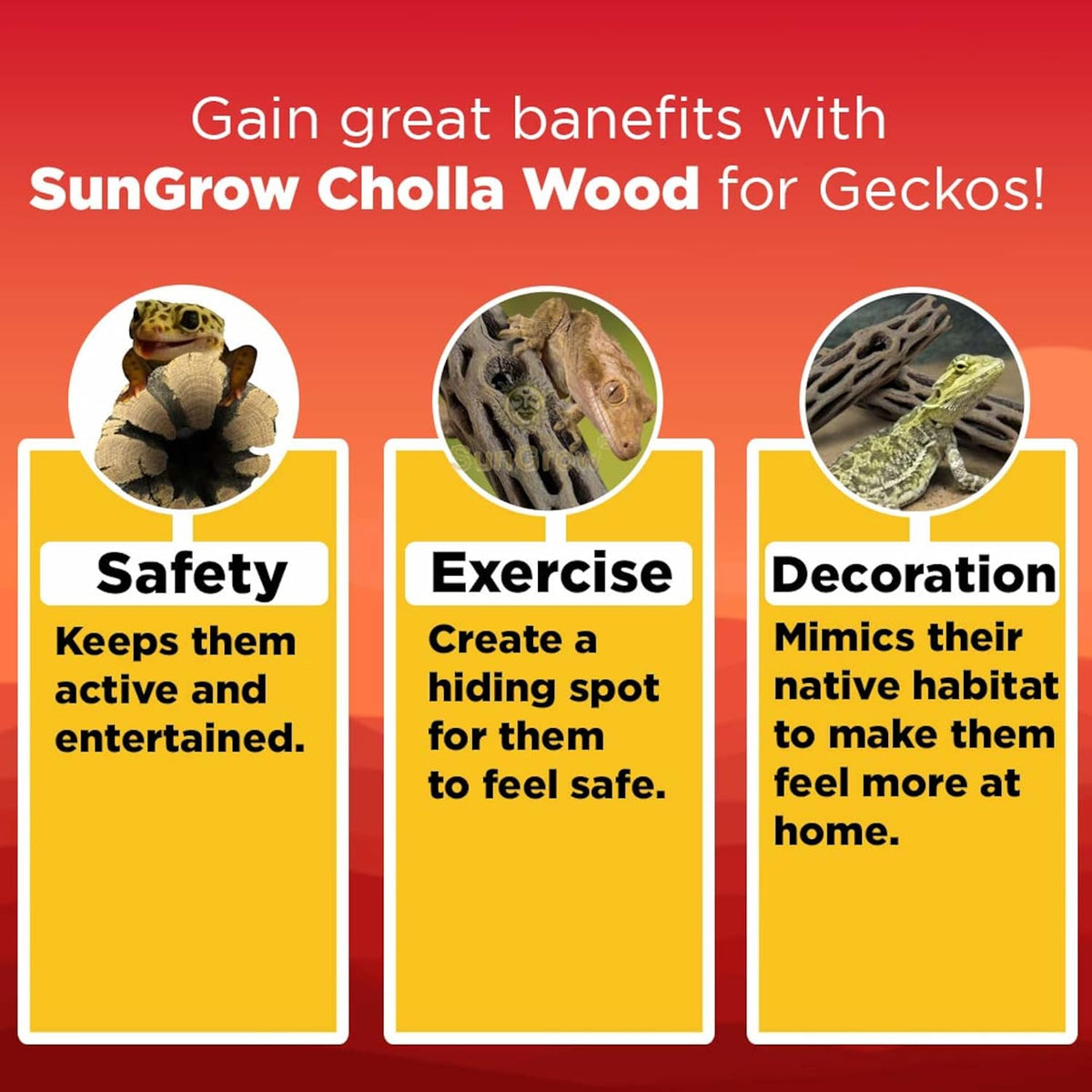 SunGrow Leopard Gecko Cholla Wood, Create Basking Spot - 6 Pack - image 3