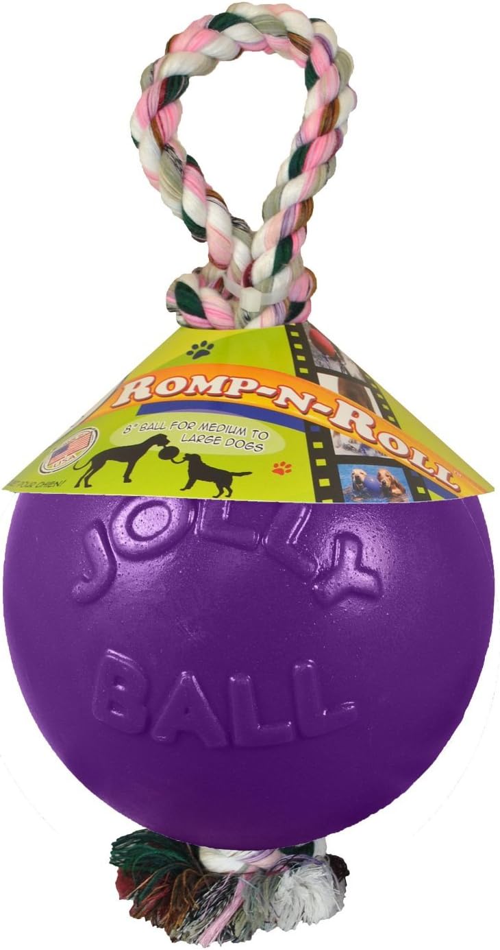 Jolly Pets Romp-N-Roll Rope & Ball Dog Toy - Purple / Small (4.5 in)
