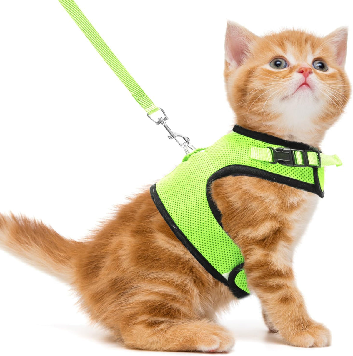 PUPTECK Soft Mesh Cat Vest Harness and Leash Set Puppy Padded Pet - M(NECK 7", CHEST 10.5", 4-6 lbs) / Fluorescent Green