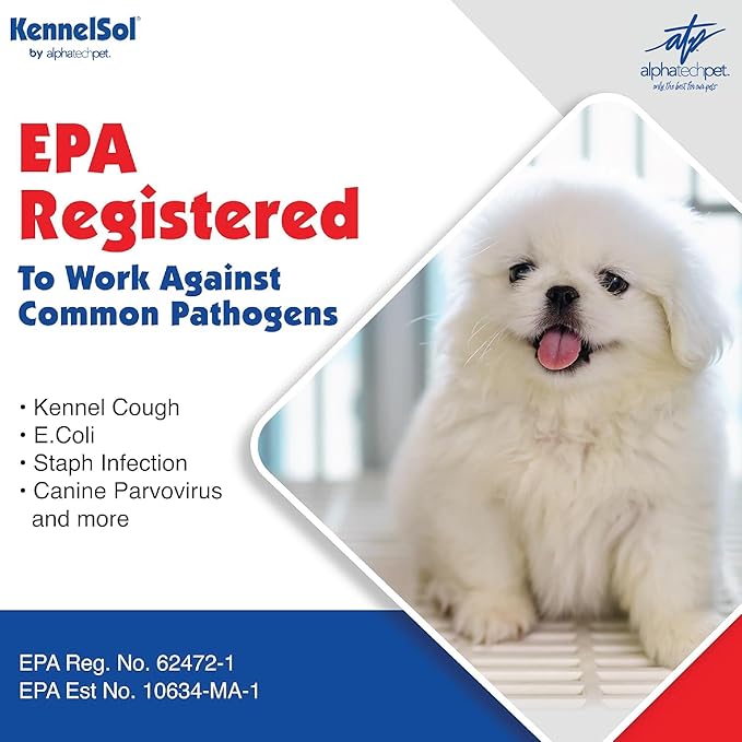 ATP KennelSol 1-Step Kennel Cleaner - 5 Gallons Liquid Disinfectant, Effective Against Bacteria and Viruses, Deodorizer Wintergreen Scent by Alpha Tech Pet
