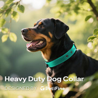 PetiFine Dog Collars for Medium Dogs - Teal / Large (19"-23") - image 4