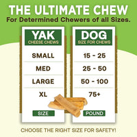 EcoKind Premium Gold Yak Cheese Himalayan Dog Chews, Dog Treats Large Breed, All Natural, High Protein, for Aggressive Chewers, Large - 10 Chews
