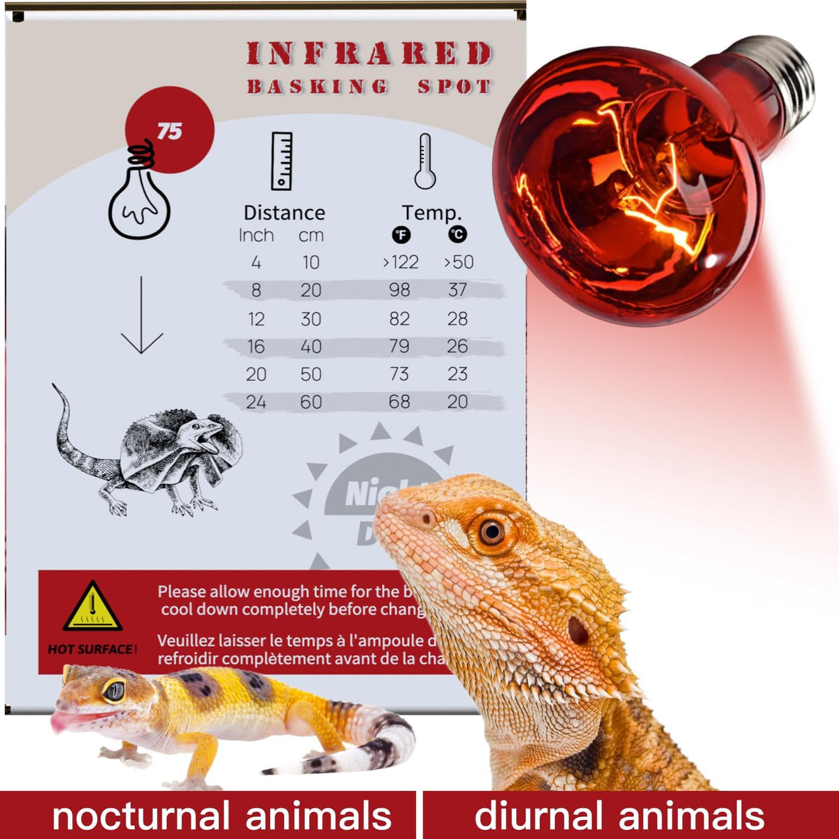 Reptile Heat Lamp, UVA Daylight Basking Light for Bearded Dragon - 2-pack Night Heat Bulb / 75W - image 3