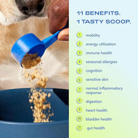 Native Pet The Daily Dog Supplement (60 Scoops) & Salmon Oil for Dogs & Cats (8 Oz) - 11 in 1 Multivitamin & Pure Omega-3 Fish Oil Supplement for Skin & Coat, Joint, Heart Health & Anti-Inflammatory