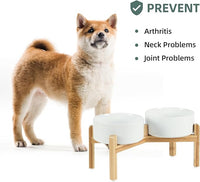 Ceramic Raised Double Bowls Set with Stand, Food & Water Bowls for Medium Breed Dogs, Weighted Dog Dishes, Pet Bowl(7.3'',41OZ, White)