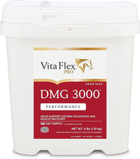 Pro DMG 3000 Horse DMG Concentrate, 4 Pounds, 128-Day Supply
