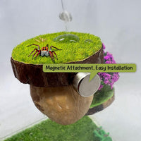 Jumping Spider Hideout, Magnetic Hiding Habitat - image 4
