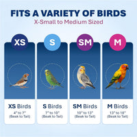 Prevue Pet Products Steel Bird Flight Cage with Wheels - Flight Bird Cage - Black - image 4