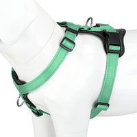 Plutus Pet No Pull Dog Harness with Leather Accents - M / Teal