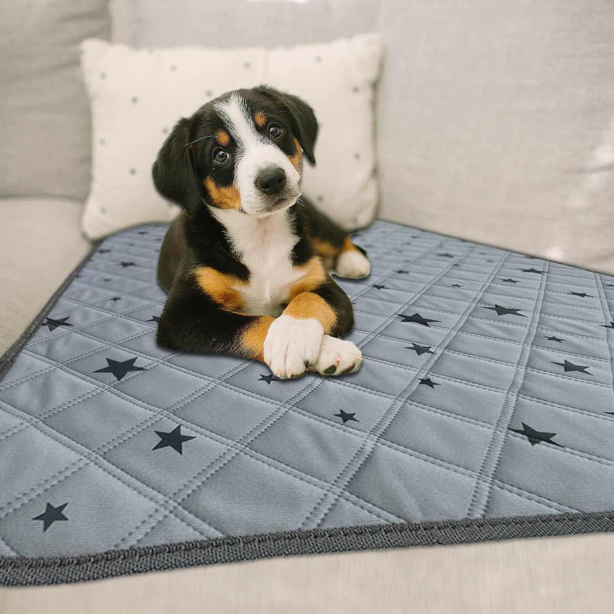 RIOUSSI Reusable Pee Pads for Dogs, Puppies. Washable, Absorbent - 18"x24"(4pack) / Gray Stars - image 2