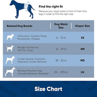 American Kennel Club Male Dog Wrap, Disposable Diapers with Wetness Indicator, Small, 50 Count