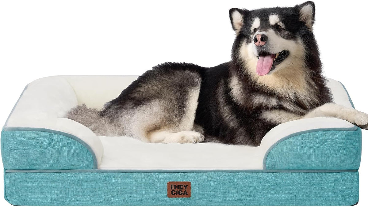 EHEYCIGA Orthopedic Dog Beds Large Sized Dog - Turquoise Blue / 48.0"l X 35.0"w X 8.0"th