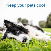 The Green Pet Shop Cool Pet Pad - Extra Small, Blue - Self-Cooling, Pressure Activated Mat for Dogs & Cats from 0-8 lbs - Non-Toxic Gel, No Water Needed