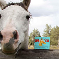 JR Liggett’s Natural Horse Shampoo Bar - Non-GMO, 100% Detergent-Free Formula Gently Deep Cleans and Supports Healthy Skin and Coat - Ideal for Dry, Itchy, or Sensitive Horses - 3.5 oz Bar