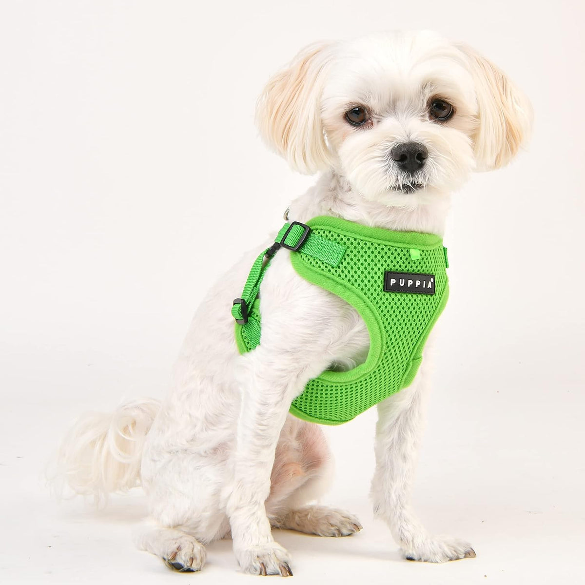 Puppia PARA-HC1533-CA-M Camo Soft Harness C Pet-Vest-Harnesses - Small / GREEN - image 4