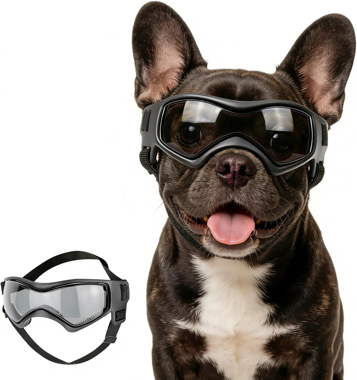 Clear Dog Goggles for Small Dogs - Cool Black / Medium