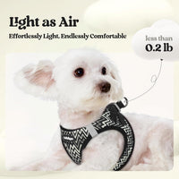 rabbitgoo Dog Harness Small Sized and Leash Set - Black Zigzag / Xxs (chest: 12.4 - 14.2") - image 3