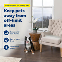 PetSafe ScatMat Indoor Training Mat – Essentials for Dogs - Medium 30" x 16" - image 2