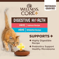 Wellness CORE+ Digestive Health Pate Adult Wet Cat Food, Natural, Protein-Rich, Grain Free, 3 Ounce, 12 Pack (Salmon & Whitefish Variety Pack)