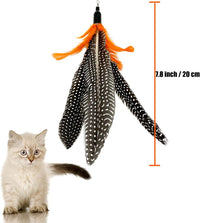Cat Feather Toys Refill, 16 Pieces Cat Wand Replacement Feathers Toy for Indoor Cats – Essentials for Cats - 6 PCS Cat Toy Feather Refills - image 3