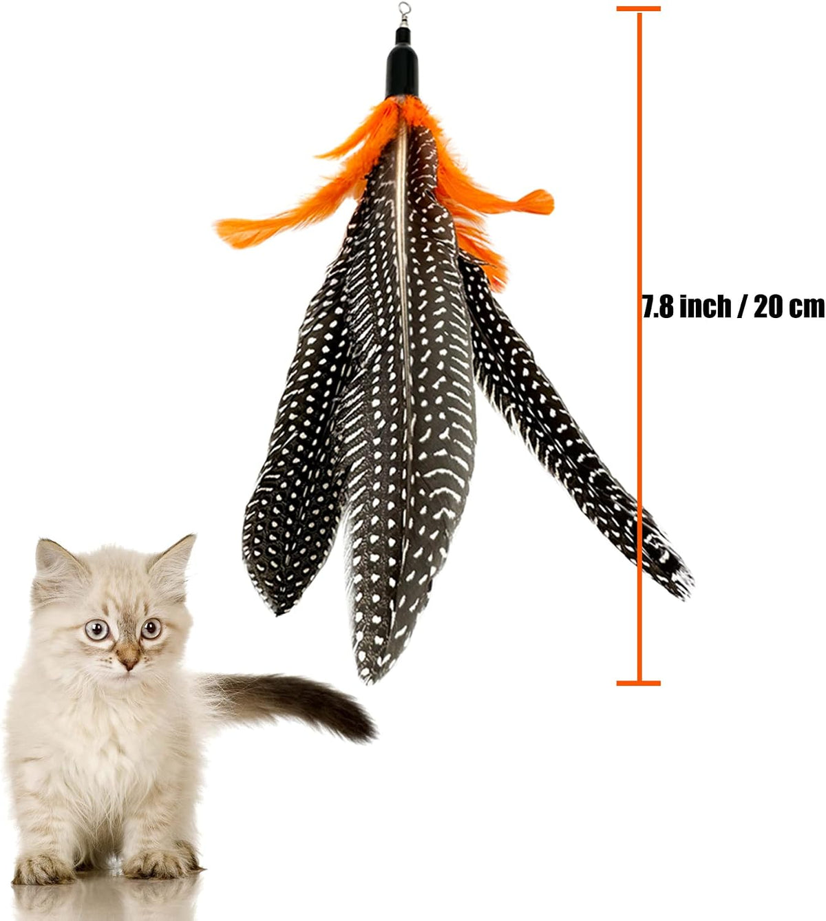 Cat Feather Toys Refill, 16 Pieces Cat Wand Replacement Feathers Toy for Indoor Cats – Essentials for Cats - 6 PCS Cat Toy Feather Refills - image 3