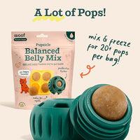 WOOF Dog Pupsicle Mix - Easy-to-Make DIY Pupsicle Refills - Tasty, Healthy Pupsicle Mix - Wholesome Ingredients - Long-Lasting Treats for Dogs - Balanced Belly Mix