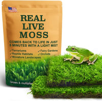 Live Moss Duo Pack 2 Types of Real Live Sheet/Sphagnum Moss