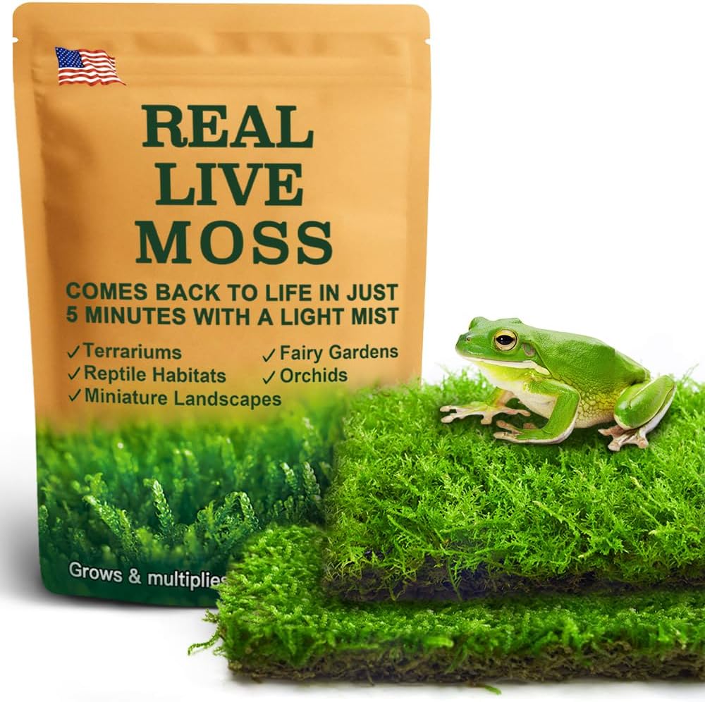 Live Moss Duo Pack 2 Types of Real Live Sheet/Sphagnum Moss