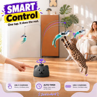 Interactive Cat Toys for Indoor Cats - Black - image 4