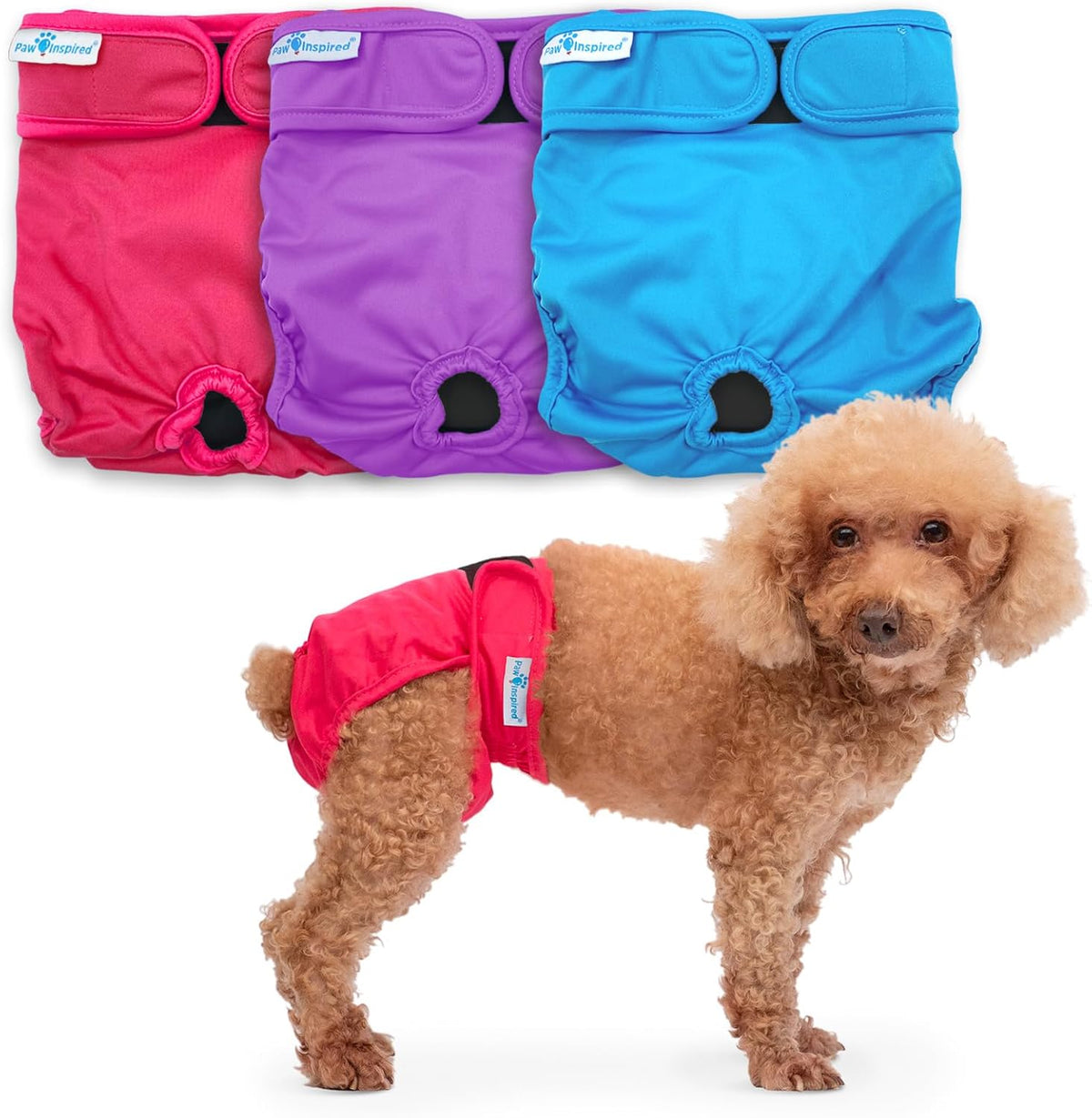 Paw Inspired Washable Dog Diapers, Assorted and White Lining - Assorted (Black Lining) / Small (3 ct.)