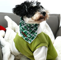 Lionet Paws Spring Daisy Dog Bandana Washable Cotton Handkerchief - St Patrick's Day / Small (Pack of 1) - image 3