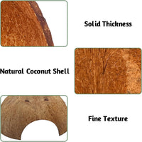 PINVNBY 2 PCS Natural Coconut Reptile Hideouts Lizard Coco Hut Hermit - Smooth Surface / 6 PCS - image 3
