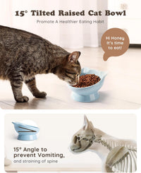 Raised Cat Food Bowl Ceramic 15° Tilted Cat Food Bowls Protect Cat's - FaceBlue-1P / 1 - image 3