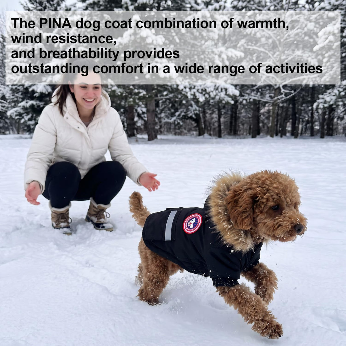 Small Dog Coats, Waterproof - 2XL(Chest 25.5") / Black - image 3