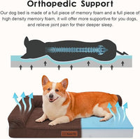 Orthopedic Dog Beds Large Sized Dog, 3 Inch Memory Foam Pet Bed for Medium and Large Dogs, Washable Removable Cover, Nonskid Bottom, Waterproof, 41x27 Inches XL Brown Grey