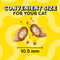 Temptations MixUps Surfer's Delight Flavor Crunchy and Soft Cat Treats, 16 oz. Tub