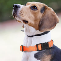 Reflective Martingale Dog Collars. Dog Collar with Quick Release - L:1" Wide for 18.5"-26.5" Neck / Orange - image 2