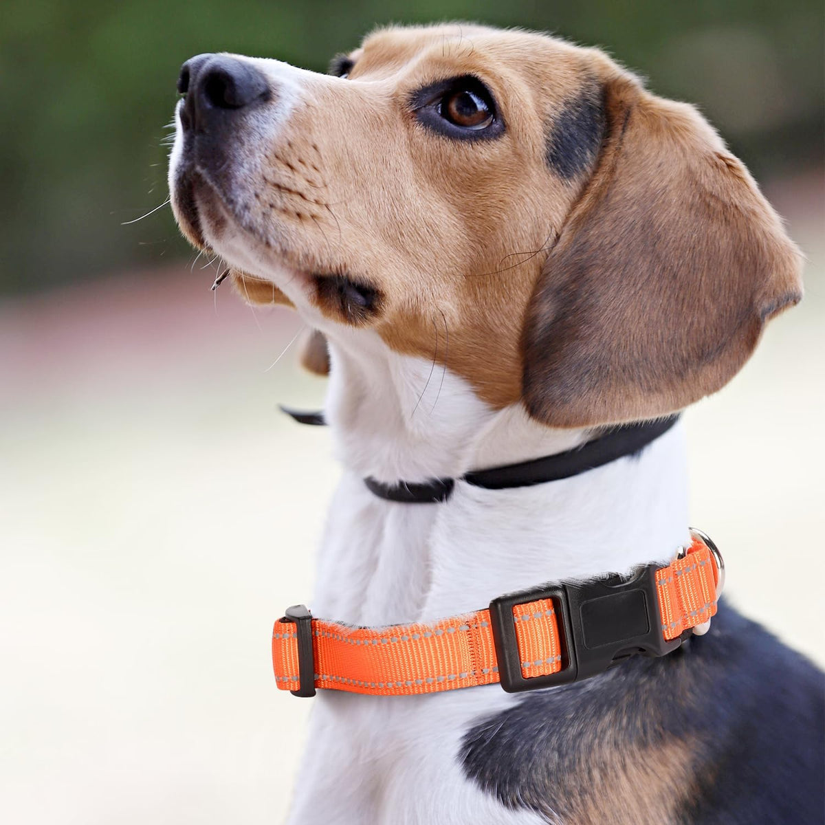 Reflective Martingale Dog Collars. Dog Collar with Quick Release - L:1" Wide for 18.5"-26.5" Neck / Orange - image 2