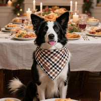 Dog Bandanas 1PC Washable Cotton Triangle Dog Scarfs for Small Medium - Large / Fall - image 3